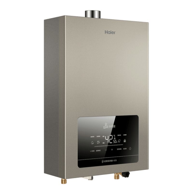 強排恆溫熱水器DC6/五段火排/水伺服/UV抑菌 16公升