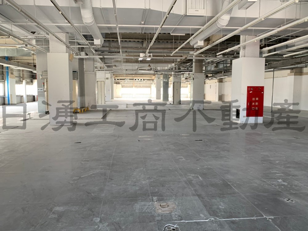 龜山區獨棟廠房｜廠房出租