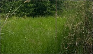 中壢區工業用地｜廠房出售