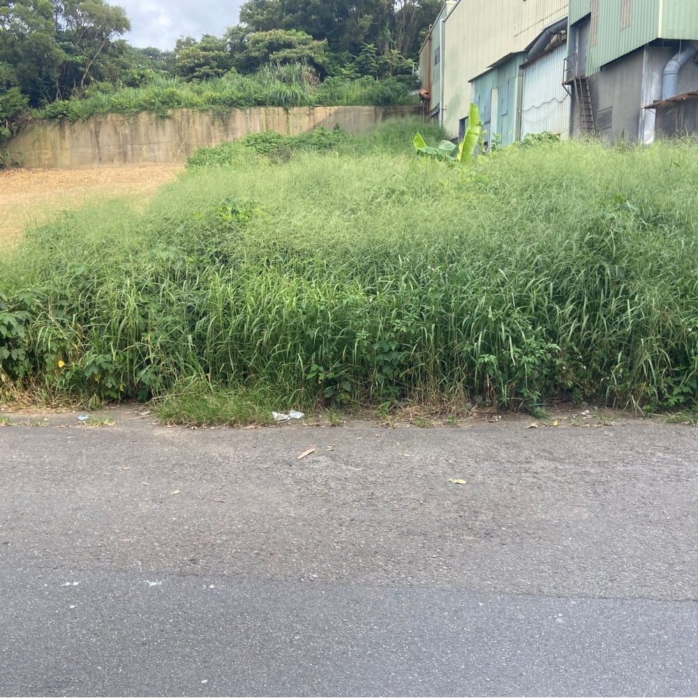 龜山區工業用地｜廠房出售