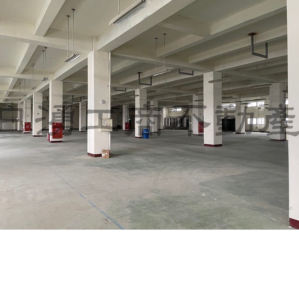 桃園市楊梅區獨棟廠房｜工業用地出售