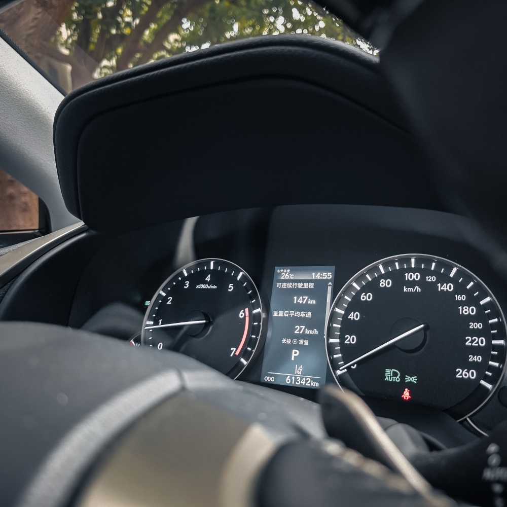 2021 LEXUS RX300旗艦版本