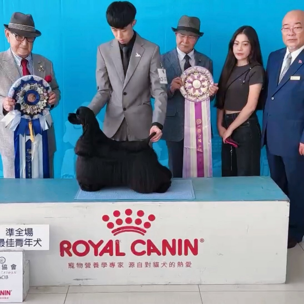 2025.10.26 KCT DOG SHOW