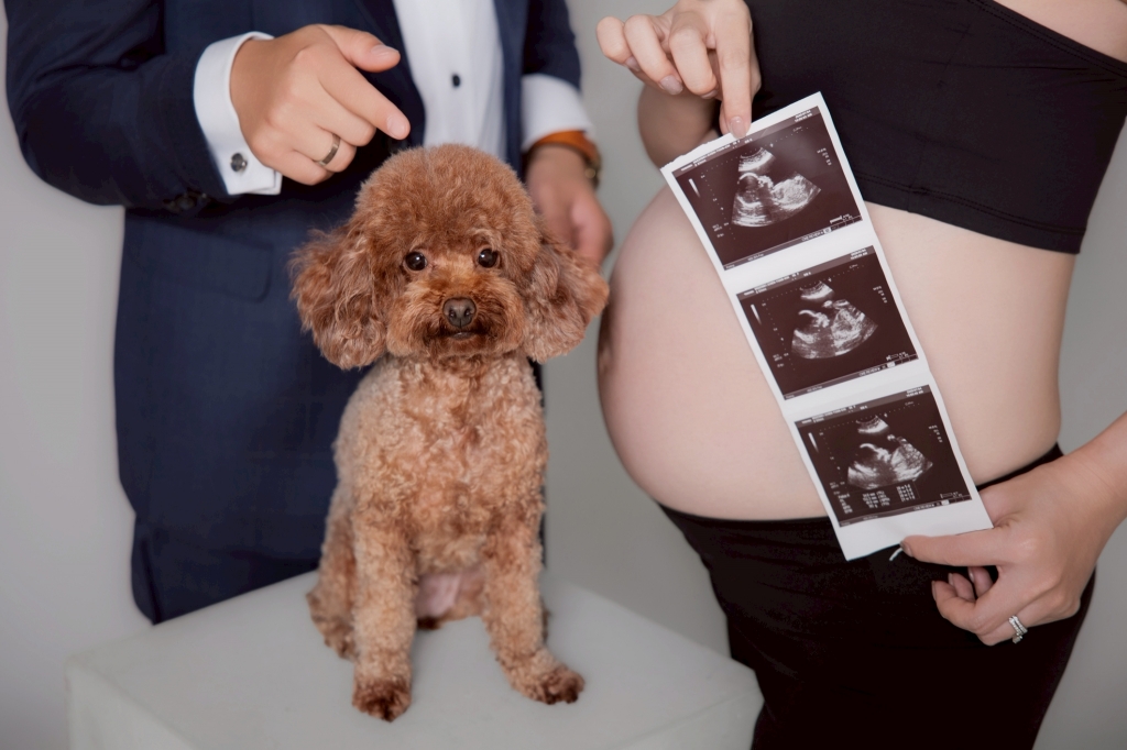 孕婦寫真作品｜SW攝影棚｜法式｜赫本｜新人分享