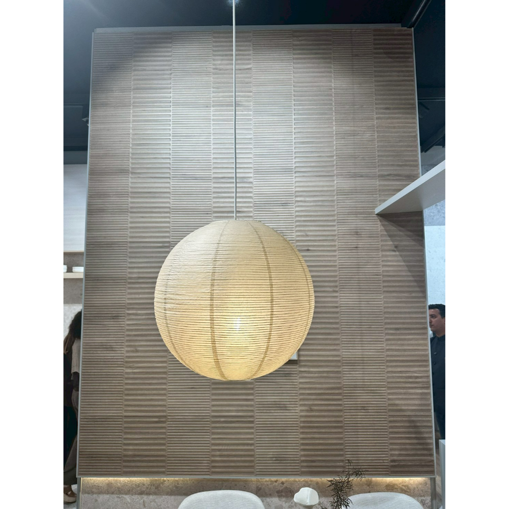 西班牙 黑木光 40