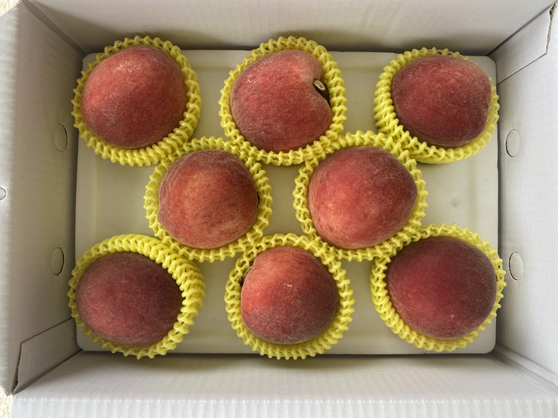 春季限定 台農7號 紅鈴水蜜桃 4月上市 (完售)