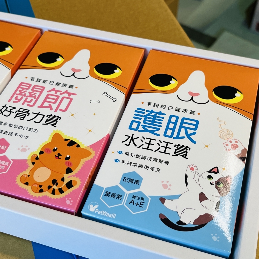 【紙紮寵物用品】D1006 紙紮貓保健