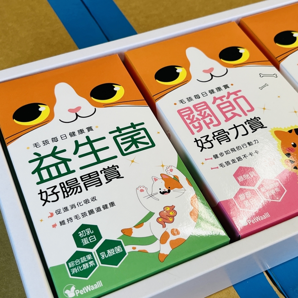 【紙紮寵物用品】D1006 紙紮貓保健