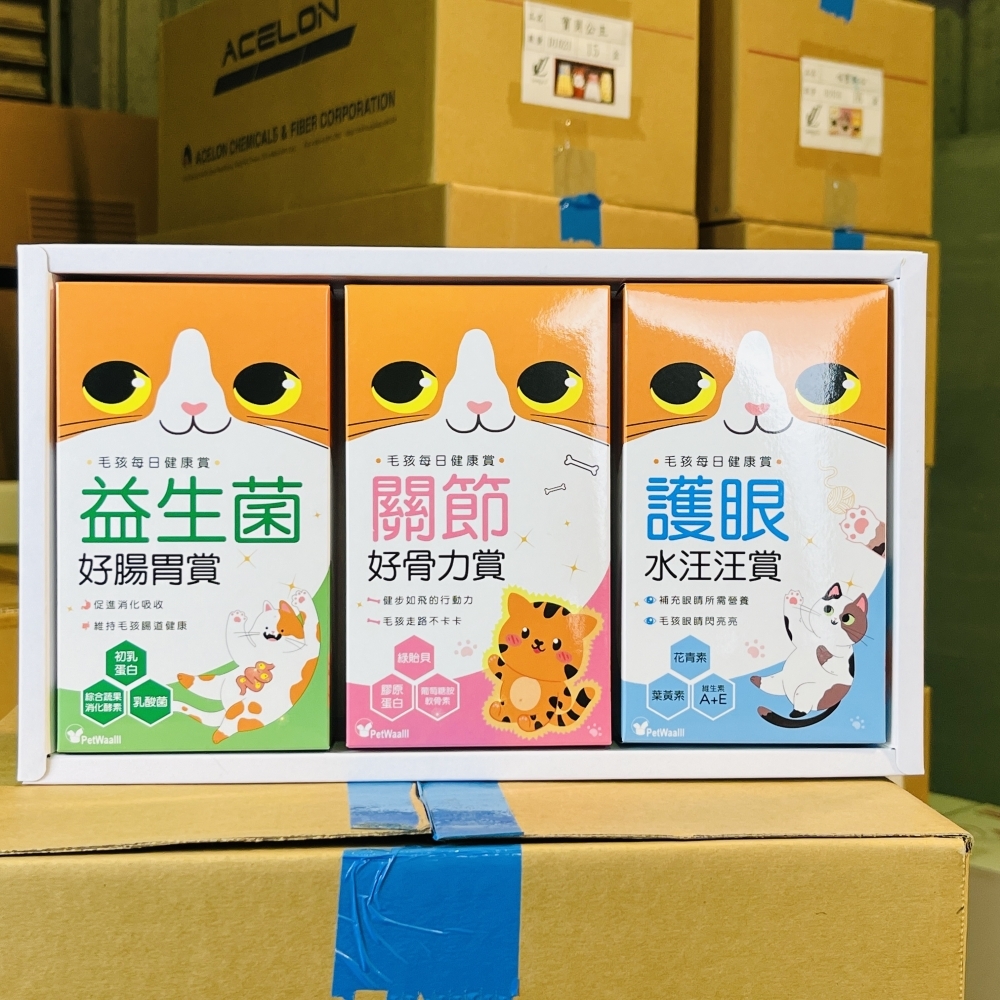 【紙紮寵物用品】D1006 紙紮貓保健