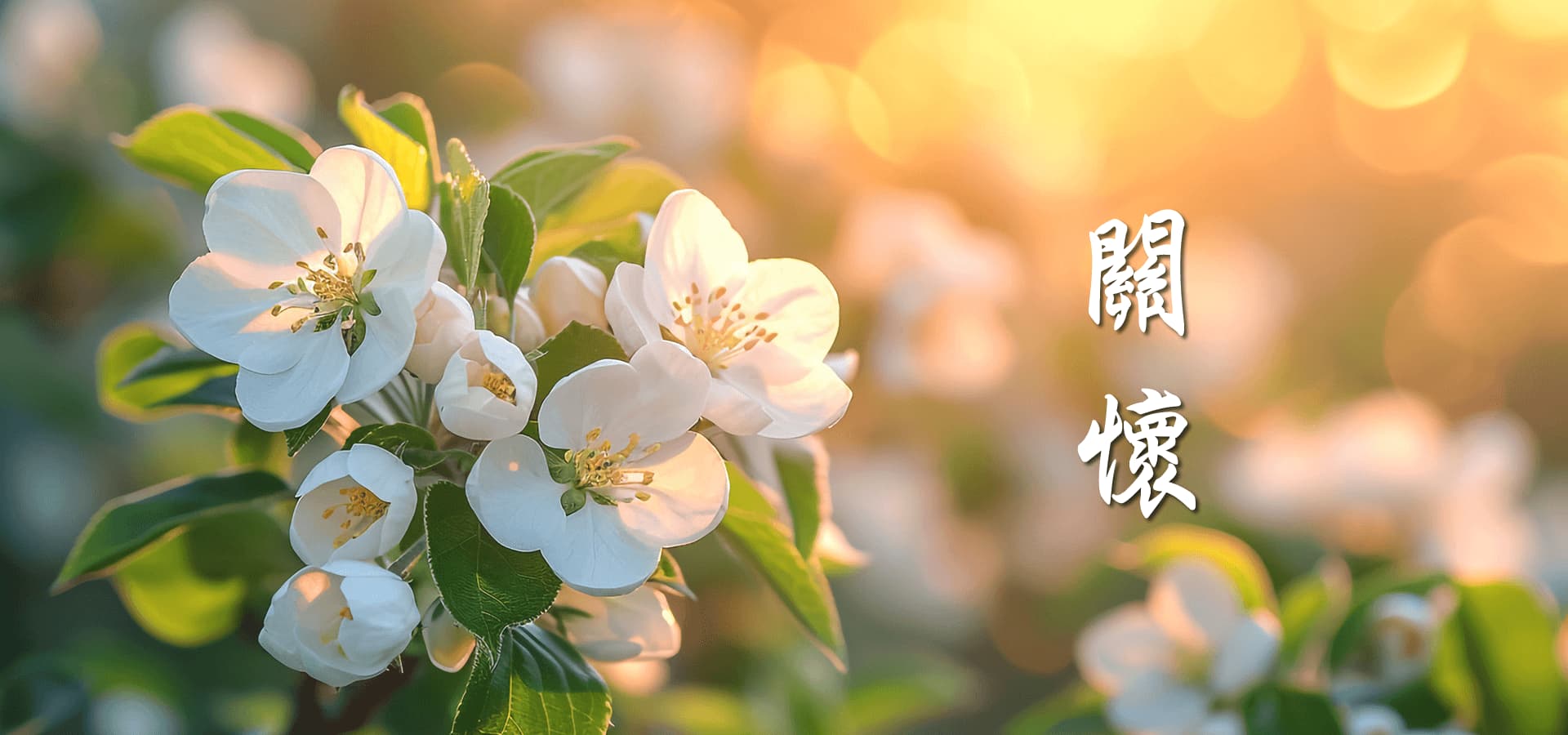 大眾生命禮儀-台南生命禮儀,台南禮儀社,台南生命禮儀推薦,台南禮儀社推薦