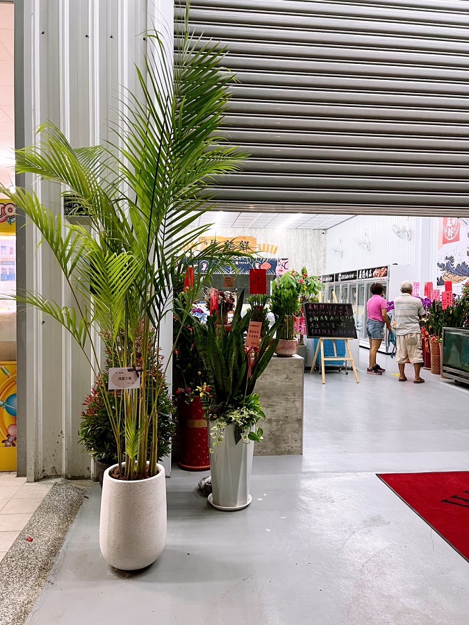 黃椰子｜高水滴