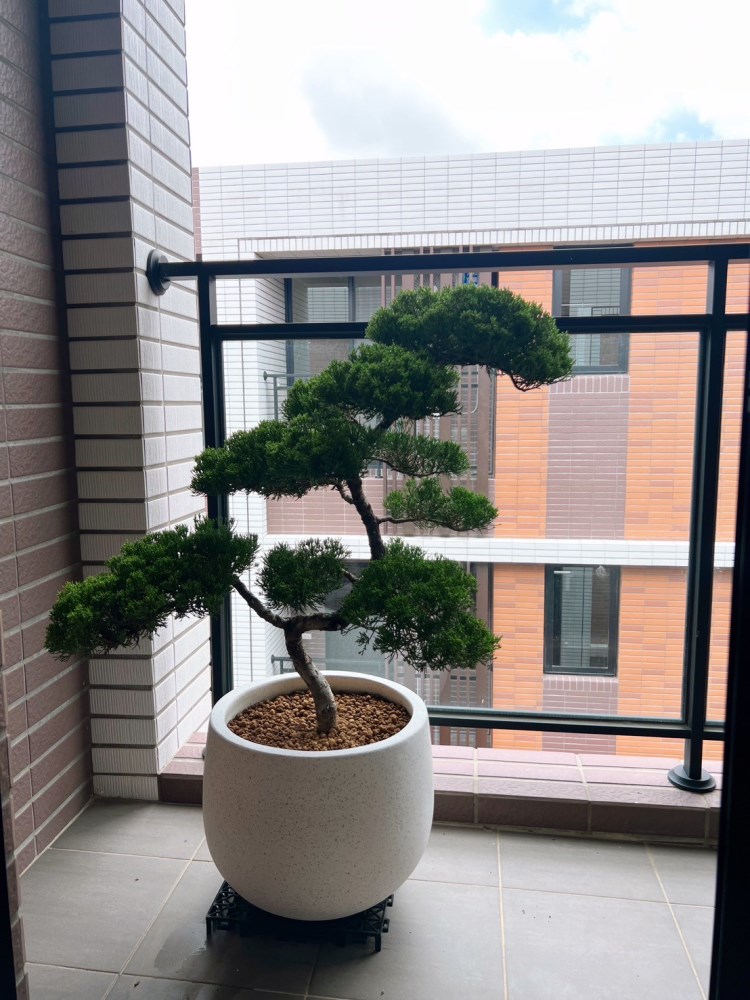 盆栽・水石用　卓　台座　廣秀作　盆栽　水石　小卓　盆栽台 花台 飾台 木製 楽天市場】盆栽飾り卓 盆栽飾り台 「小品飾り棚」 箱卓 富士