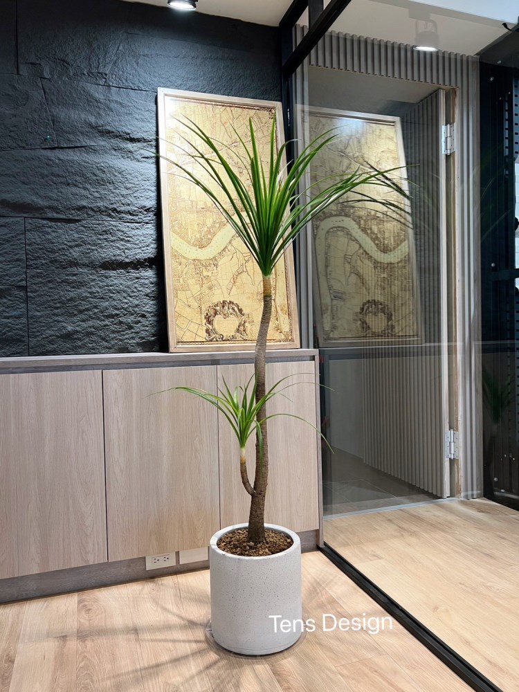 陽台盆栽-TensDesign景觀植栽造景-植栽店,台中植栽店,北屯植栽店