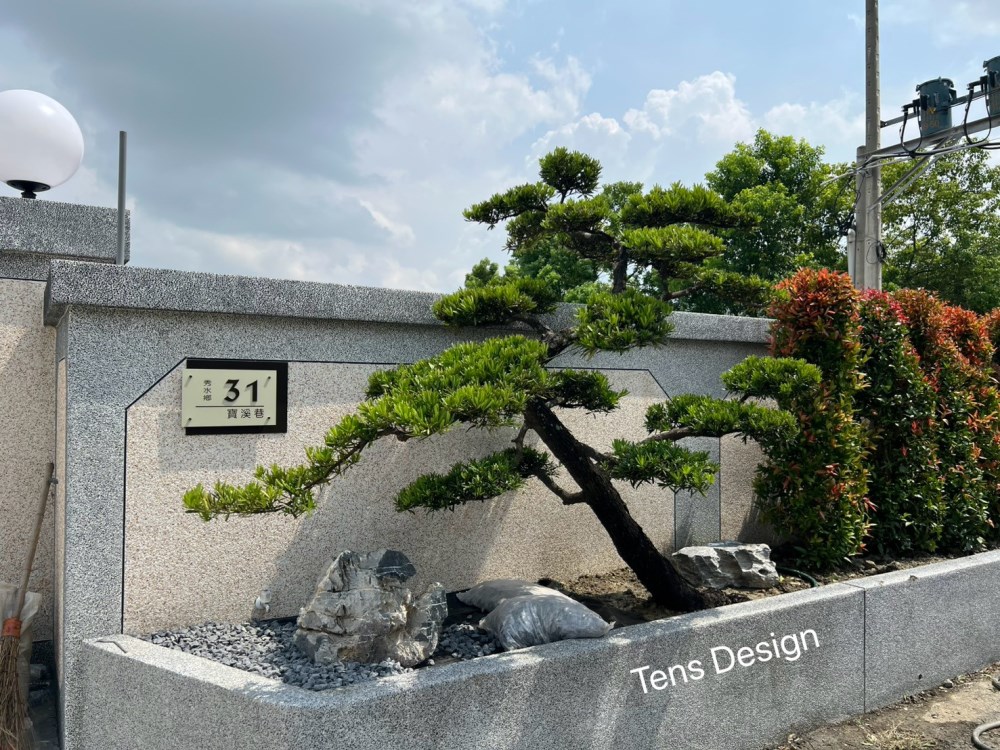 造型羅漢松
