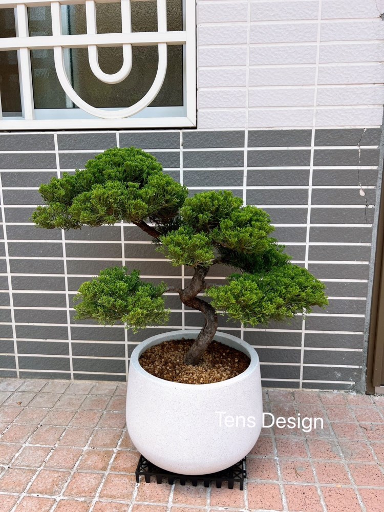 造型真柏-TensDesign景觀植栽造景-植栽店,台中植栽店,北屯植栽店