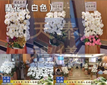 花籃 蘭花 燈柱