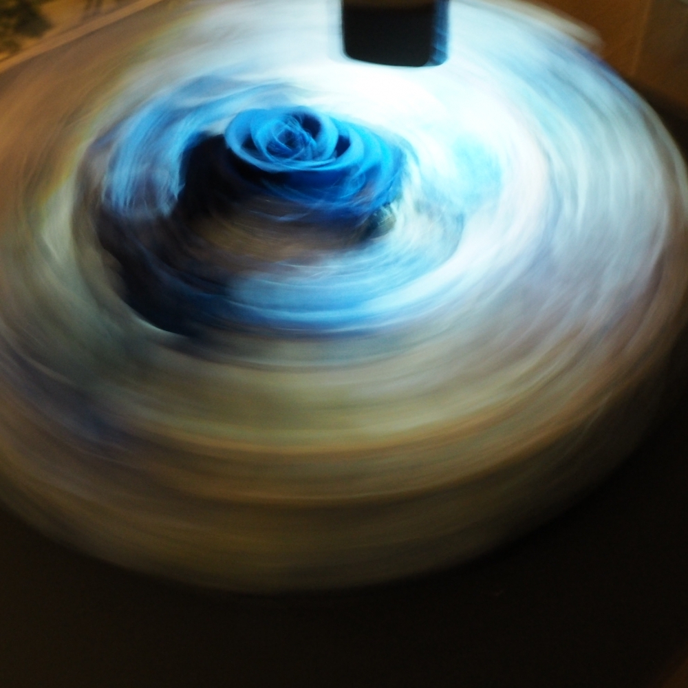 創意永生花黑膠唱片藍芽音響 適用於 告白 情人節 母親節 周年紀念日 生日禮物 求婚