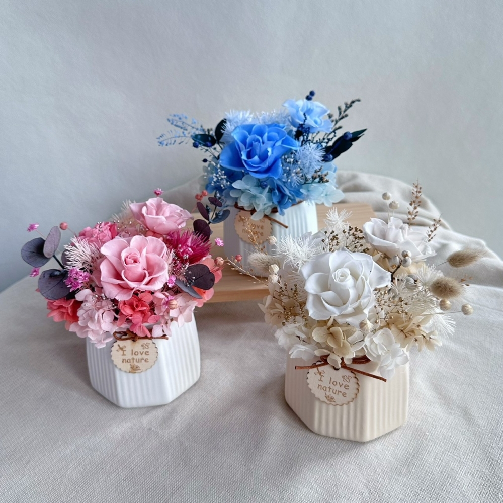 永生花｜小陶盆桌花｜
