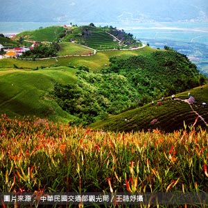 六十石山/花蓮包車旅遊