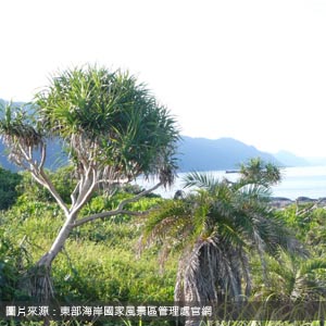 石梯坪/花蓮包車旅遊