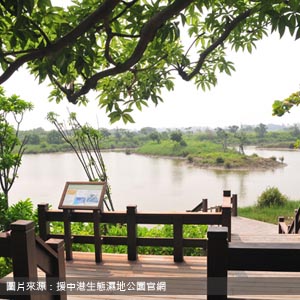 援中港生態濕地公園/高雄包車旅遊