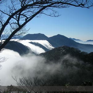 阿里山森林遊樂區/嘉義包車旅遊