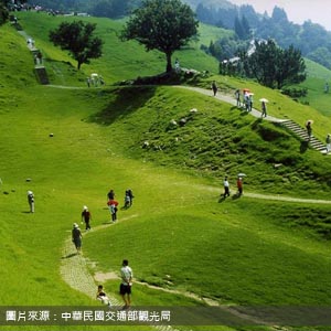 清境農場/南投包車旅遊