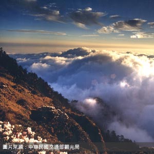 合歡山國家森林遊樂區/南投登山接駁