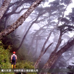 玉山國家公園/南投登山接駁/登山接駁