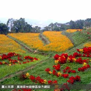 萬瑞森林遊樂區/新竹包車旅遊