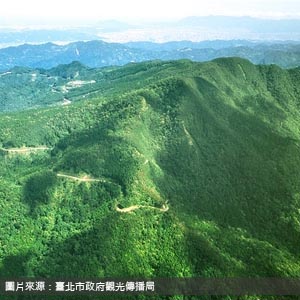 東眼山國家森林遊樂區