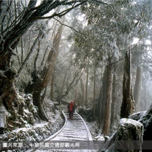 太平山國家森林遊樂區/宜蘭登山接駁