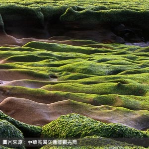 富貴角/新北包車旅遊