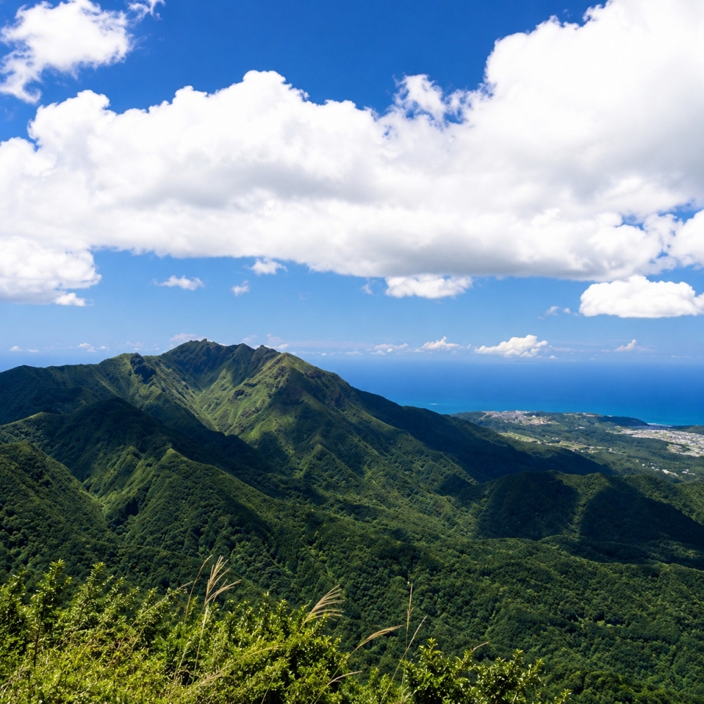 陽明山包車一日遊｜陽明山包車・花季景點