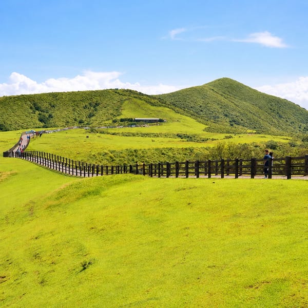 陽明山包車一日遊|陽