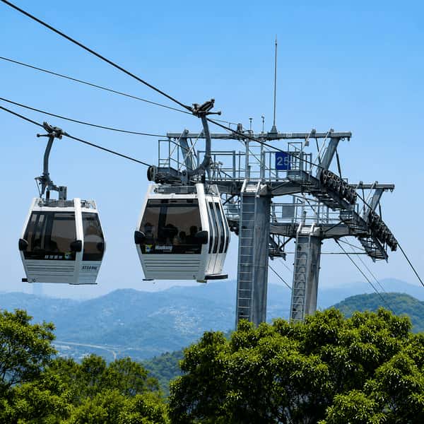 貓空纜車包車一日遊|