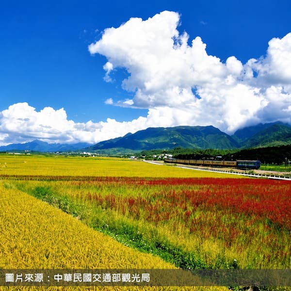 大坡池包車一日遊|台東包車・湖畔風景
