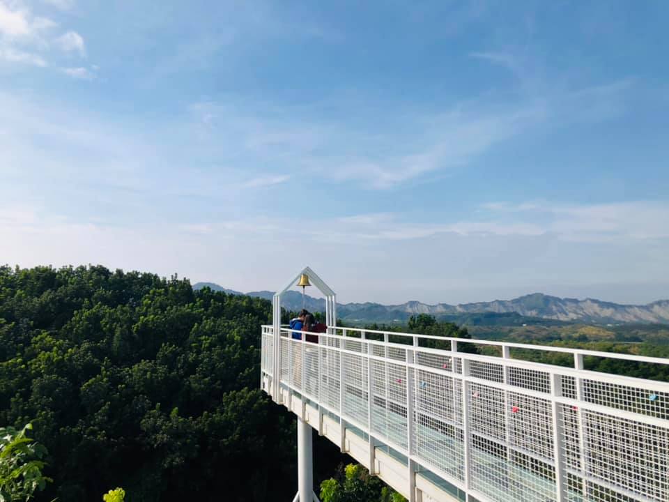 玉井 魔法森林天空步道