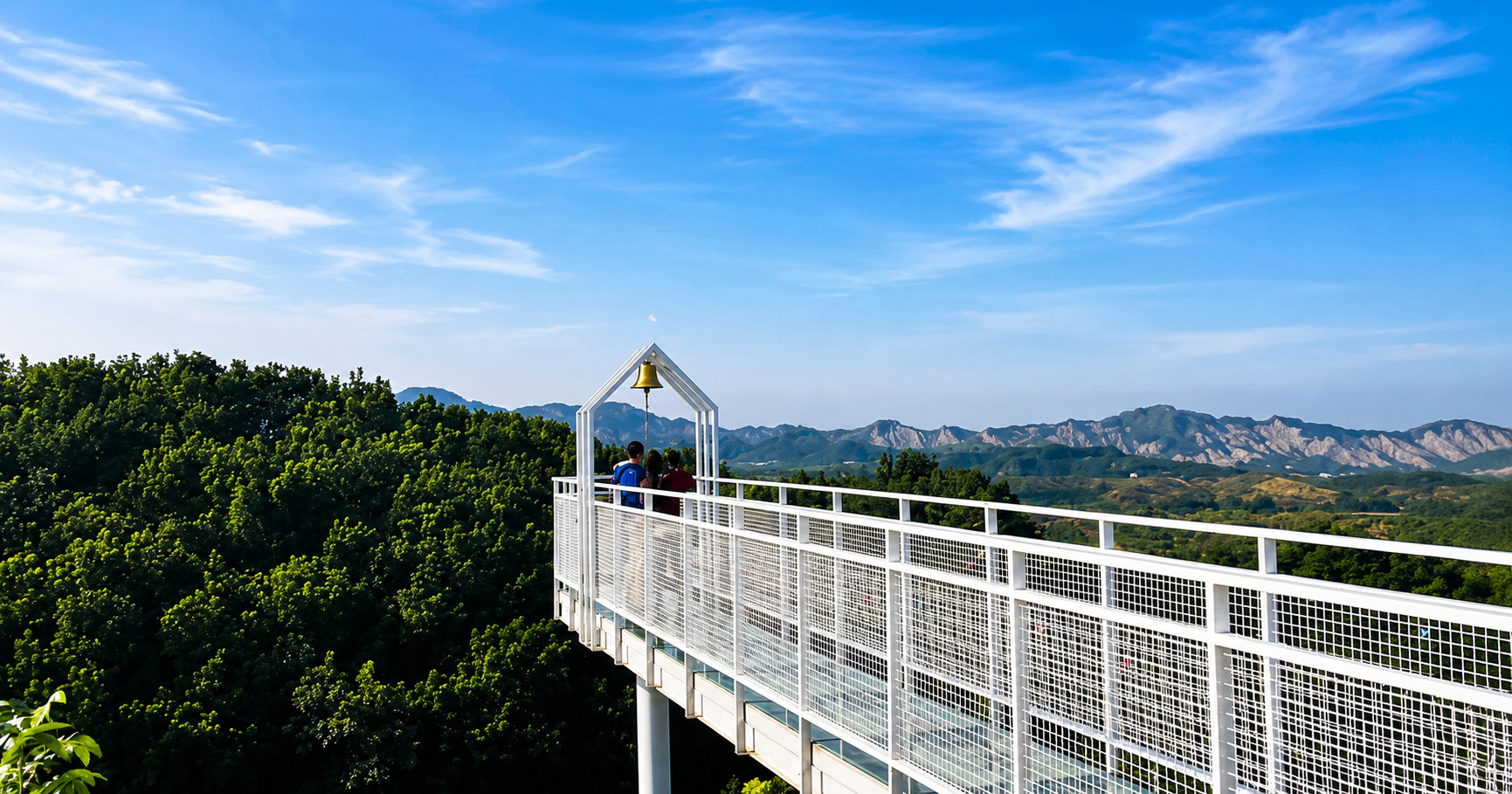 玉井 魔法森林天空步道