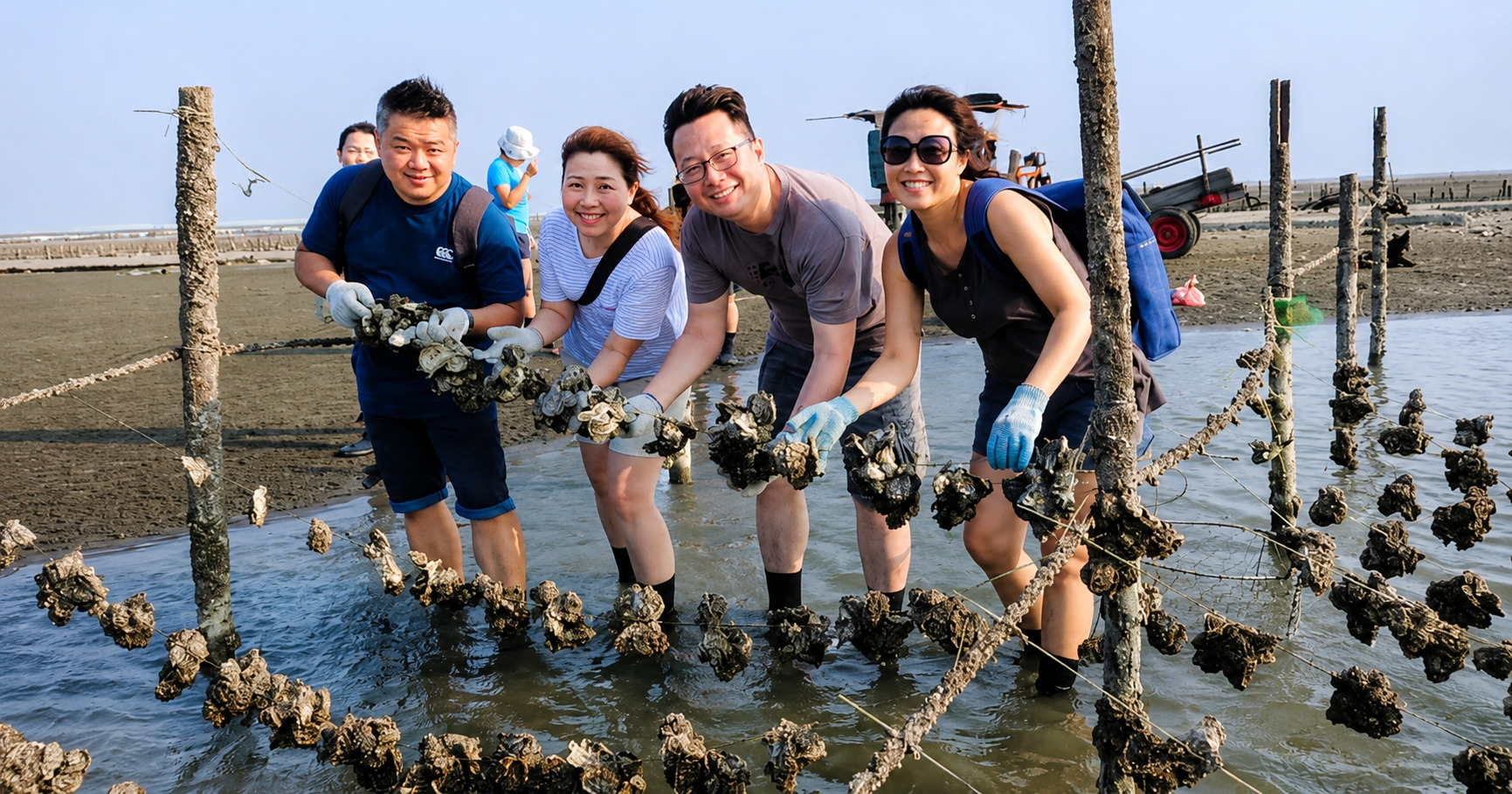 海岸鮮蛤