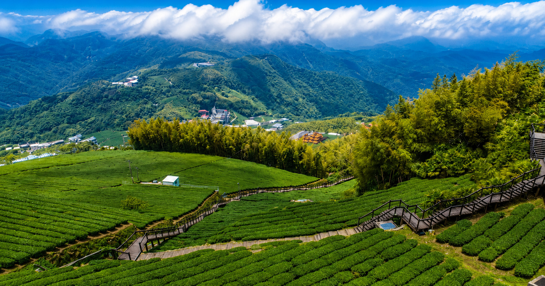 頂石棹步道群