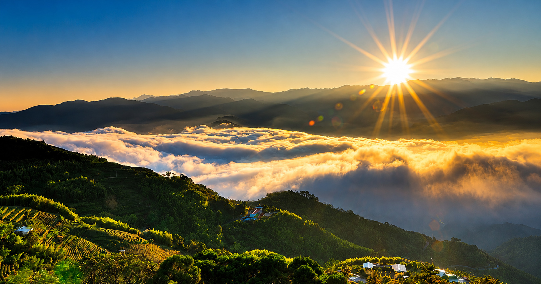 阿里山日出雲海