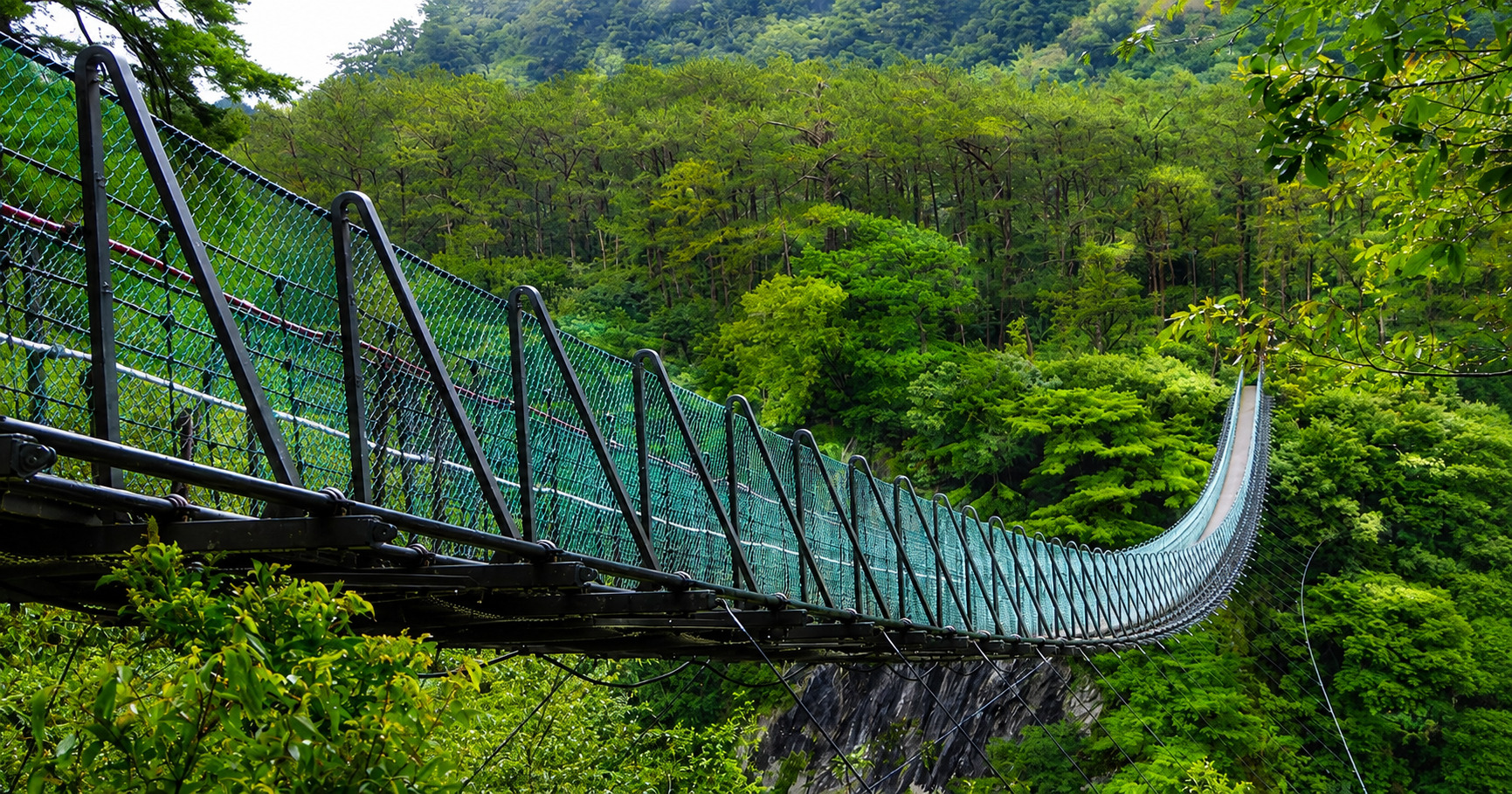 奧萬大萬大吊橋