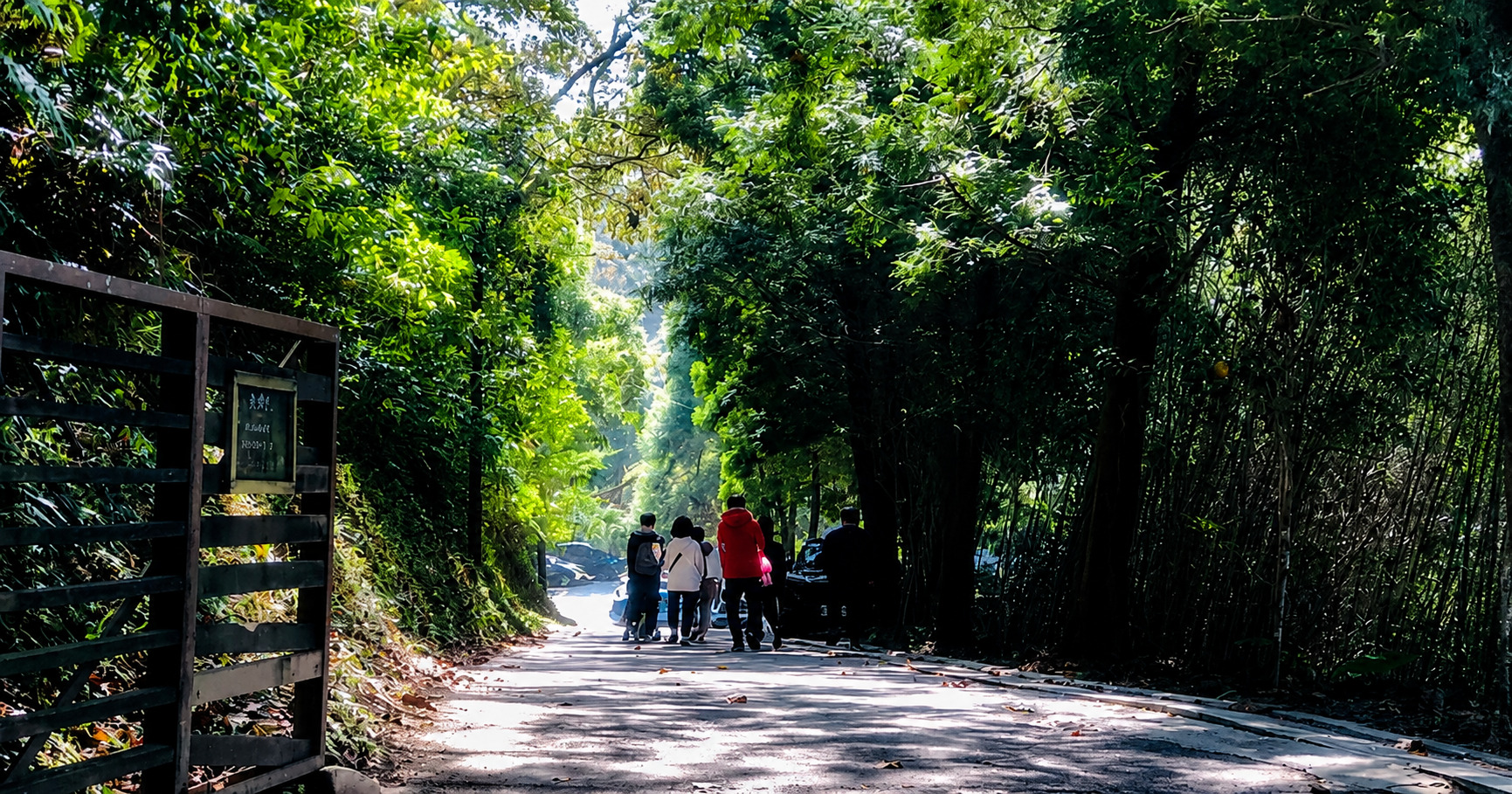 台中浪漫薰衣草花園的夢幻之旅