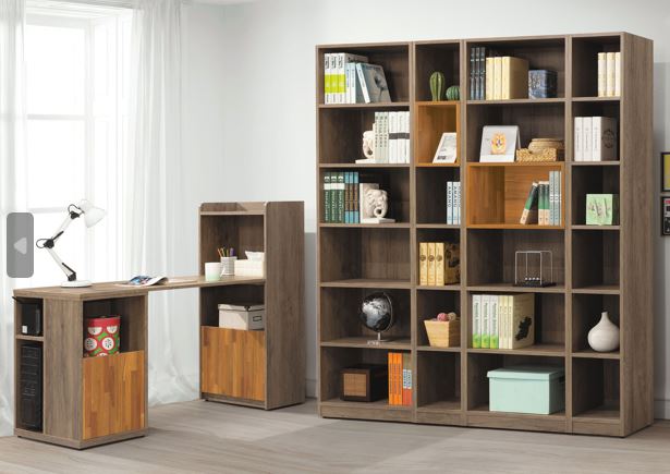 原切橡木/灰橡書櫥