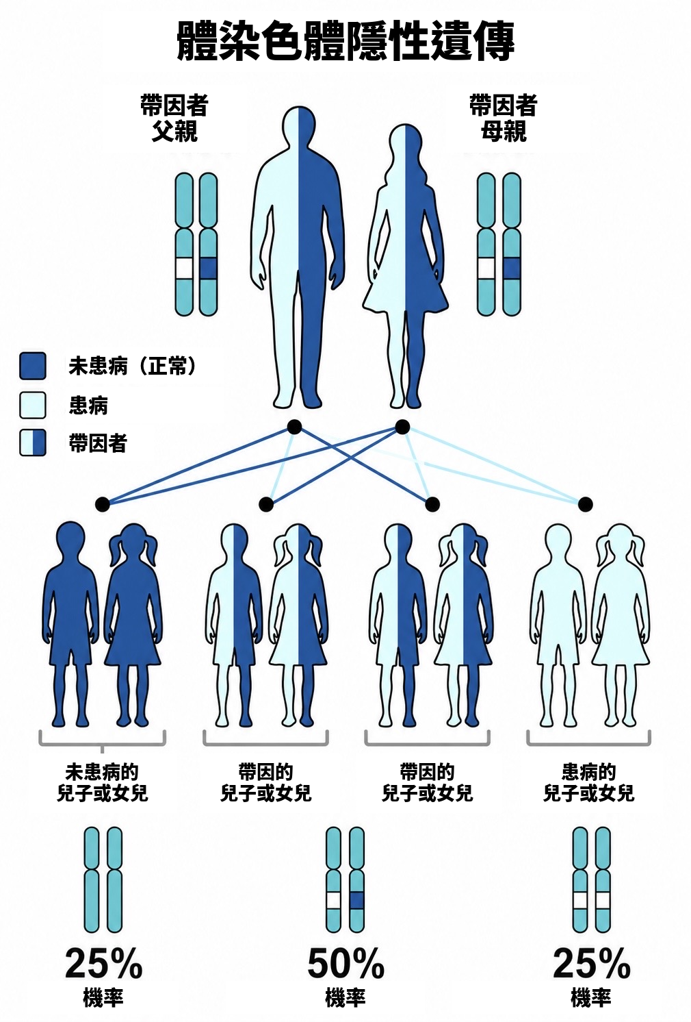 體染色體隱性遺傳模式