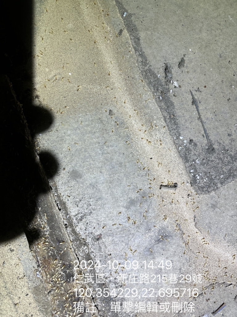 冷氣工廠白蟻防治 | 除白蟻,高雄除白蟻,楠梓區除白蟻