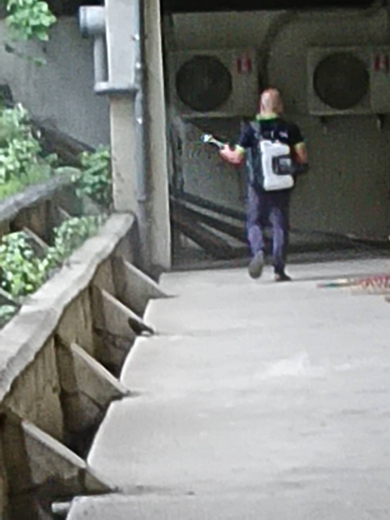 高雄消毒公司-登革熱疫情工程