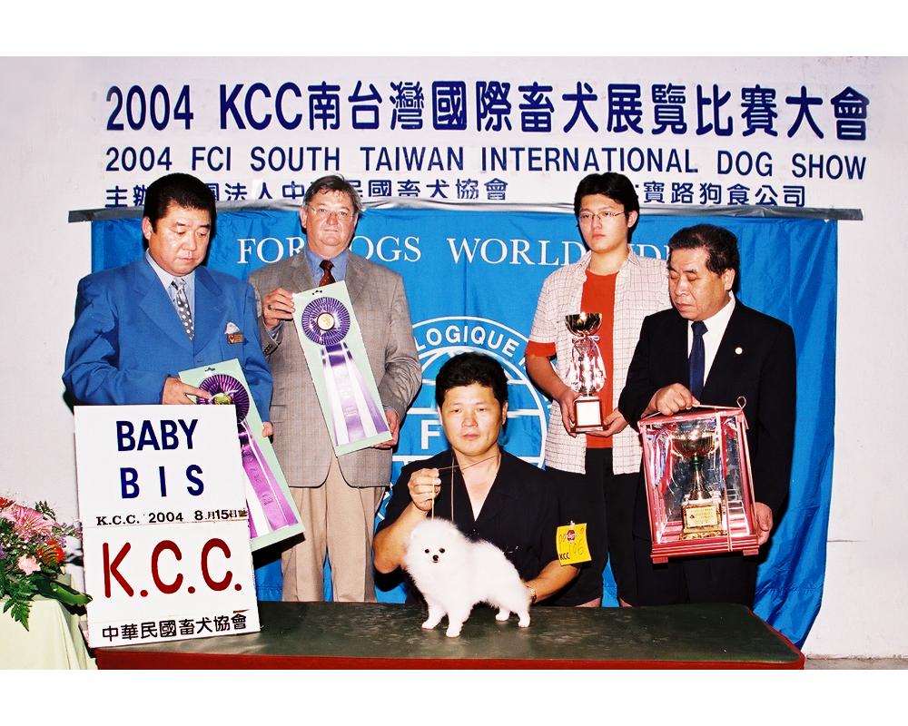參賽犬的成果