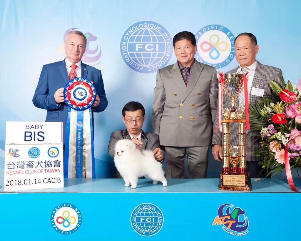 Competing Dog Results
